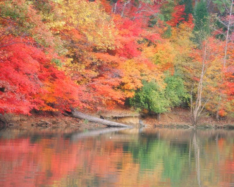 Lake Wylie, North Carolina