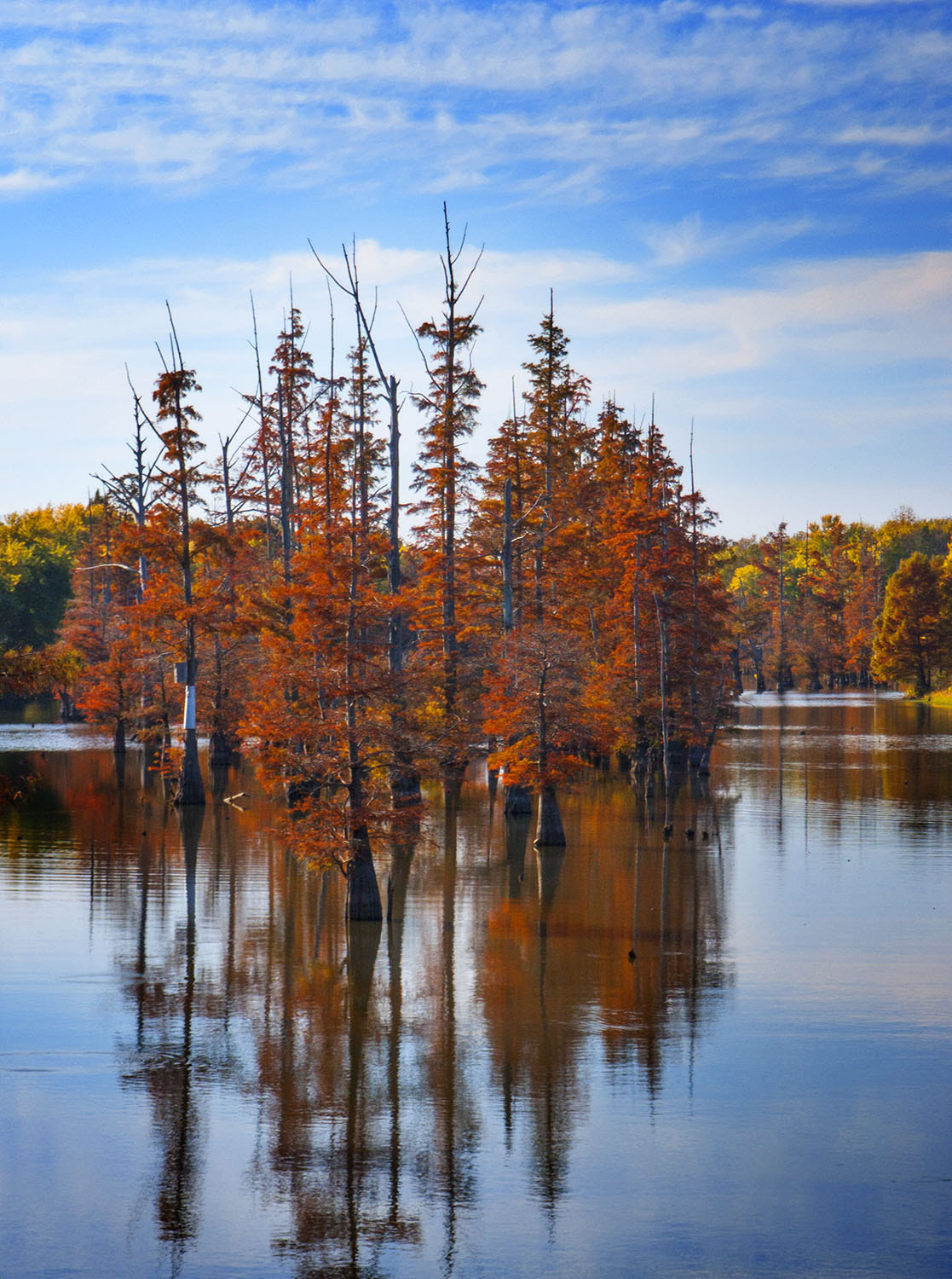 Reelfoot Lake, Tennessee