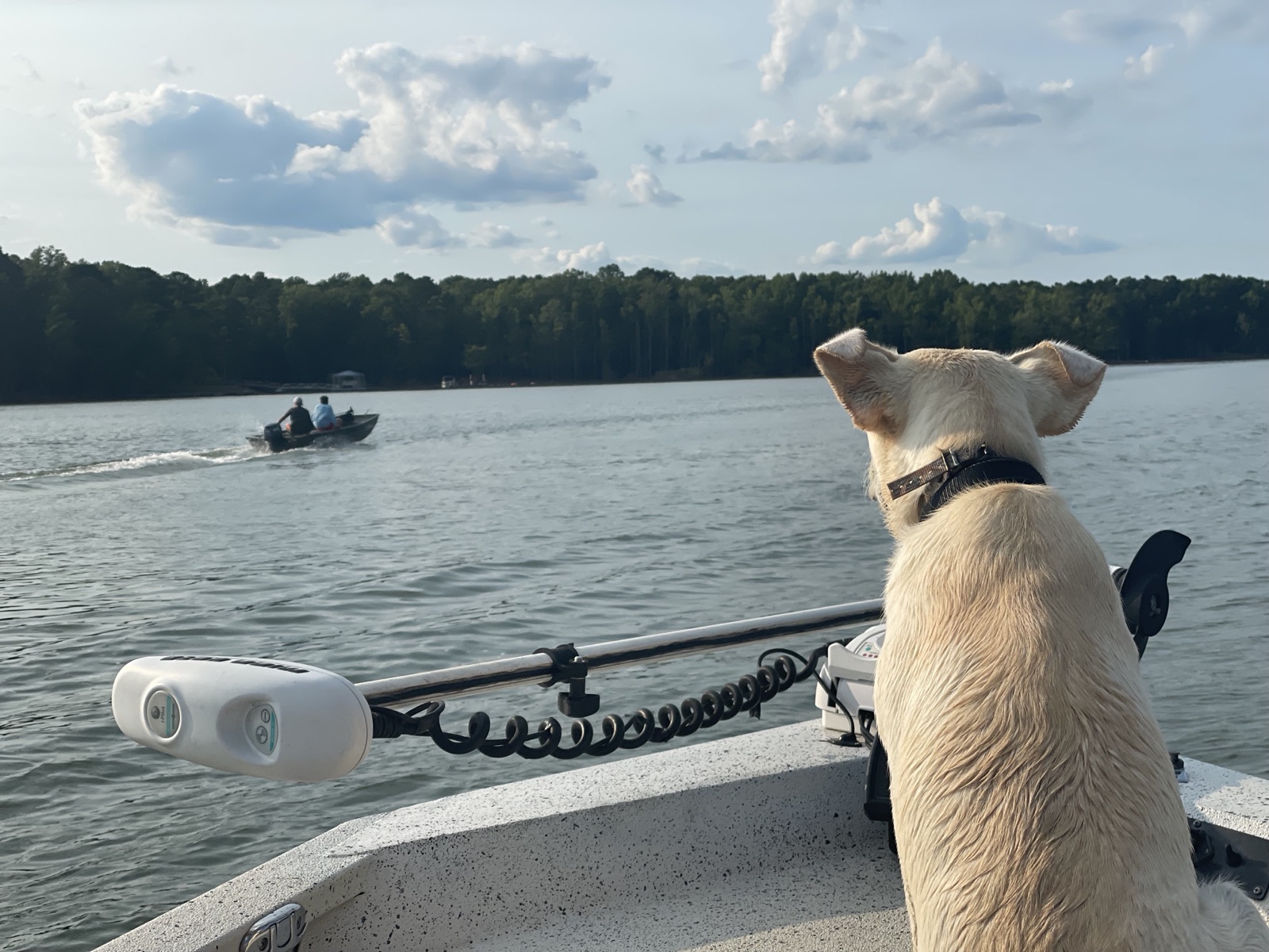John H. Kerr Reservoir, North Carolina — photo 6