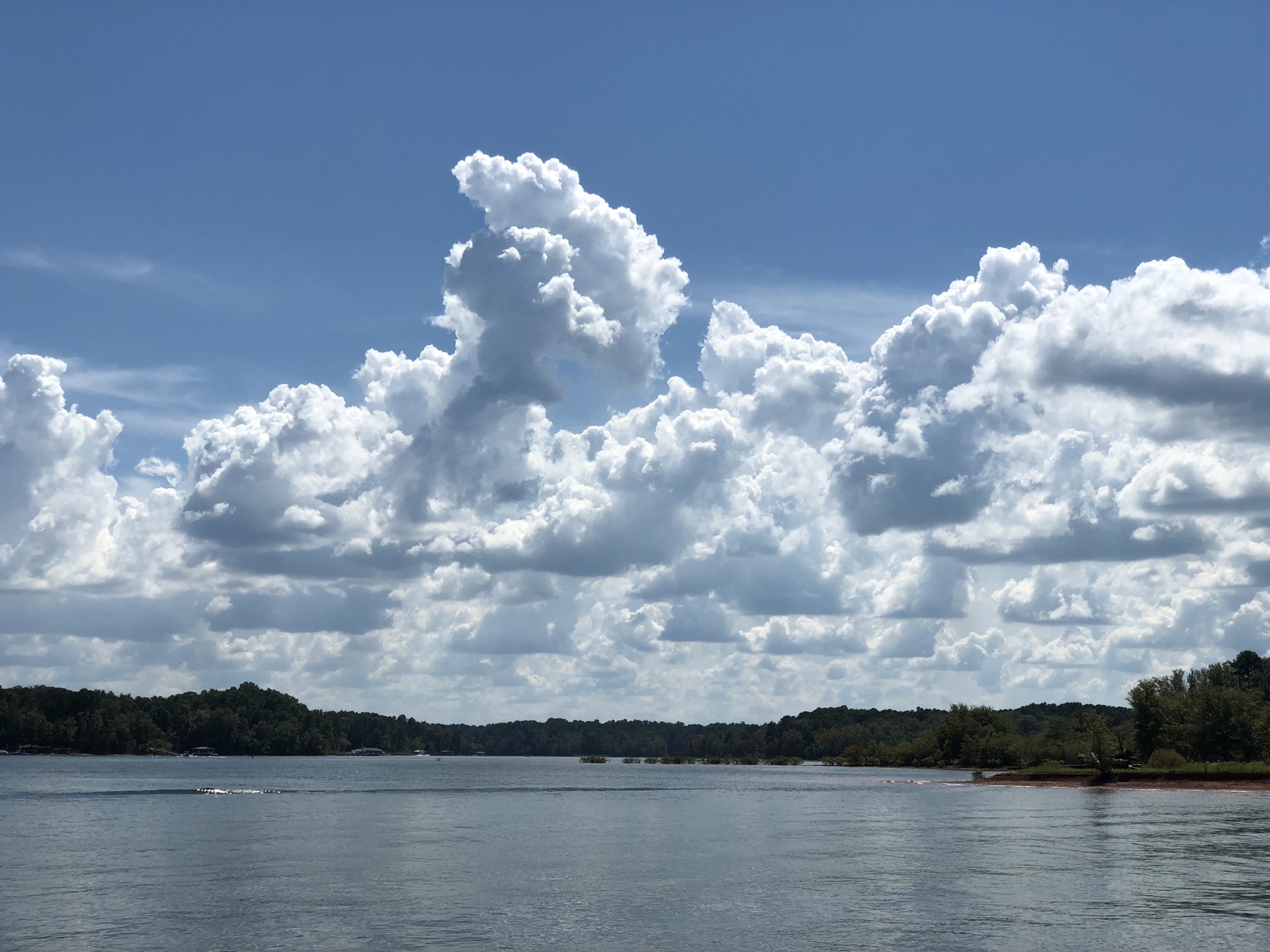 Falls Lake
